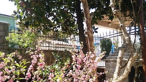 Un jardín con flores rosas en flor, una escalera de piedra y una cerca de metal.