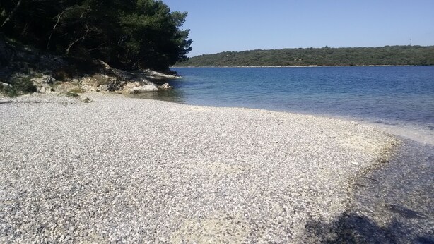 Una playa de guijarros con agua cristalina,  árboles y una costa distante.