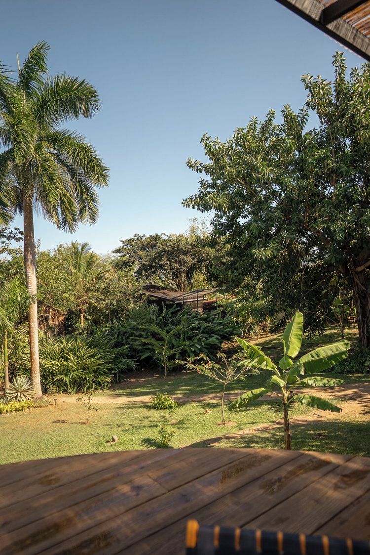 A tropical garden with a wooden deck, palm trees, and various greenery.