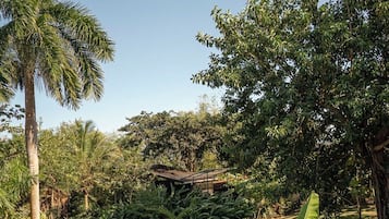 Un jardín tropical con una terraza de madera, palmeras y abundante vegetación.