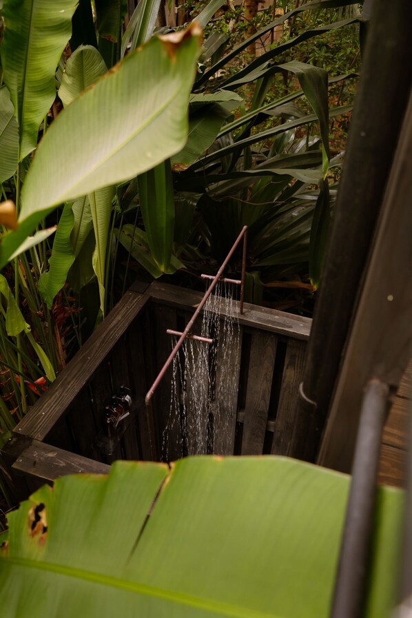 Una estructura de madera con un elemento acuático, rodeada de abundante follaje verde.