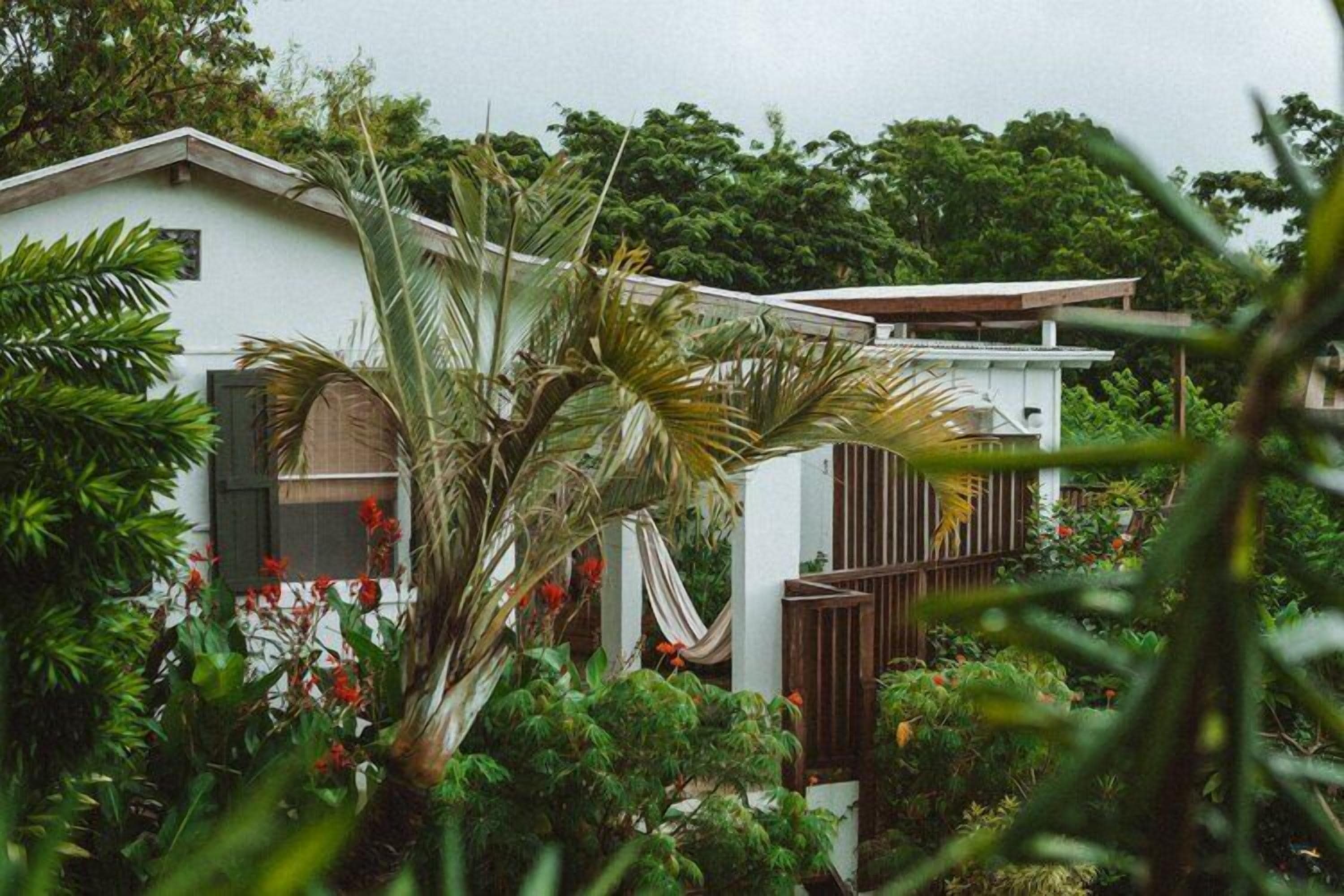 design studio suite, kitchen, garden view | 1 bedroom, premium bedding, down duvets, in-room safe