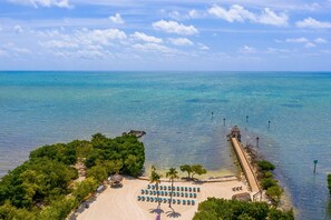 A beach with a wooden walkway leading to a row of blue lounge chairs, surrounded by greenery and a clear view of the ocean. - Ocean Cove Condo  Key Largo Locus Maris (Tavernier)