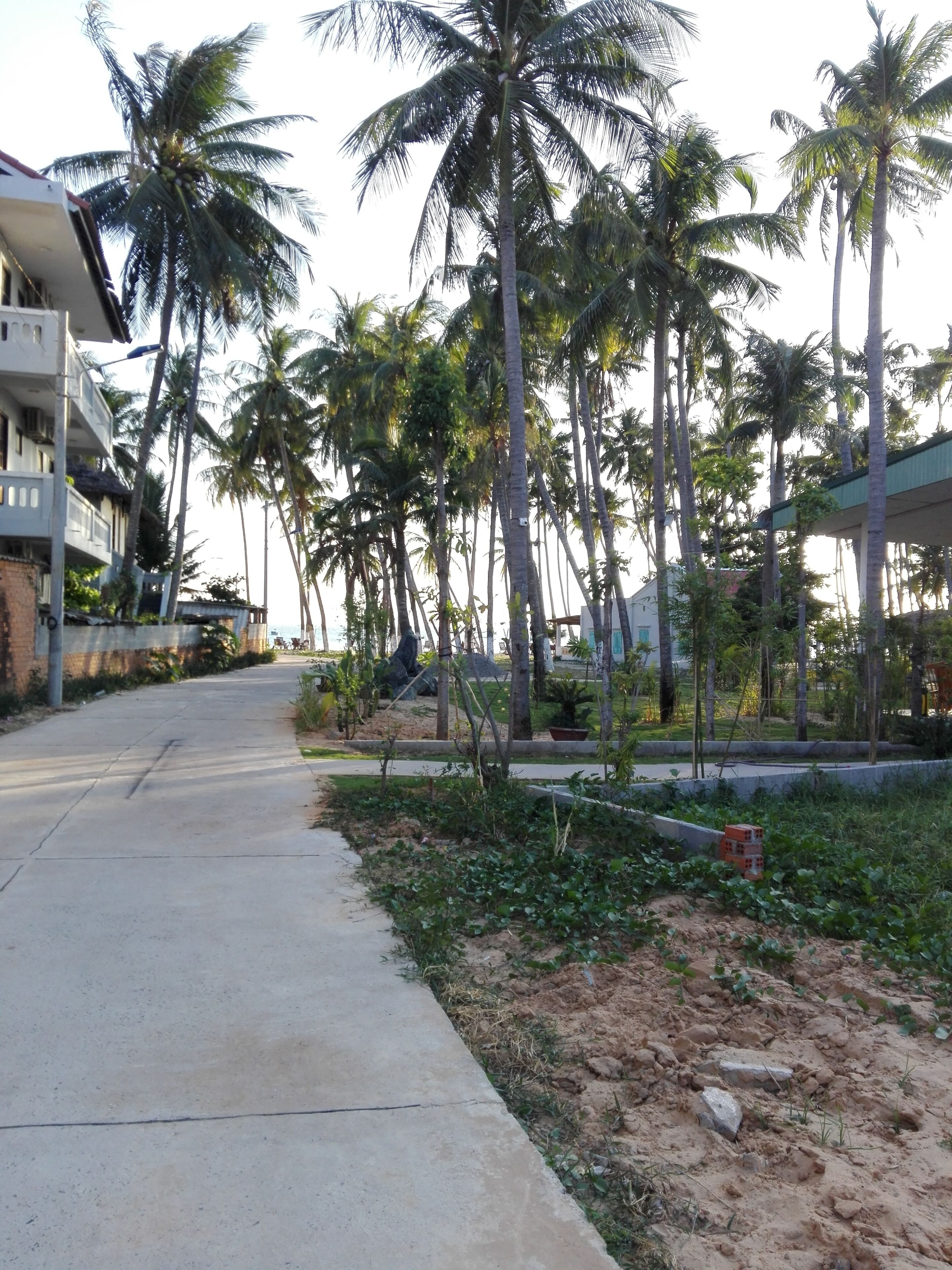 Áreas de la propiedad