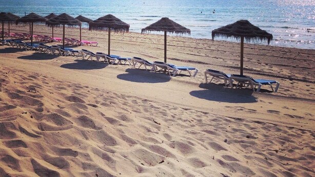 A beach with rows of sun loungers and thatched umbrellas.