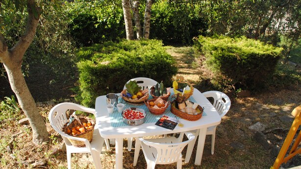 An outdoor dining table with white chairs, surrounded by greenery and trees. - "Il gelsomino del Perugino" home with garden, a stone's throw from the center.  (Città della Pieve)