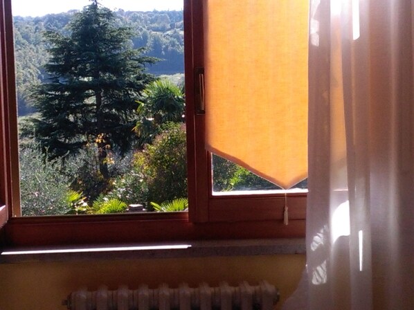 A window with a view of a forested area and a radiator below.