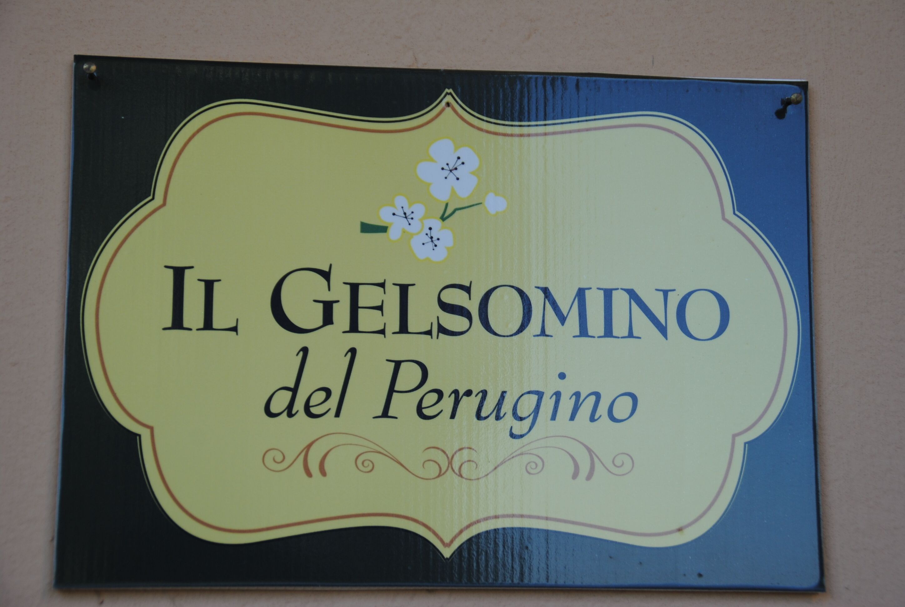 Un letrero que muestra el texto 'IL GELSOMINO del Perugino', indicando un lugar o establecimiento.