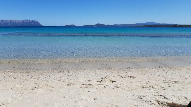 A beach with clear water and distant mountains. - Green oasis with sea view  (Golfo Aranci)