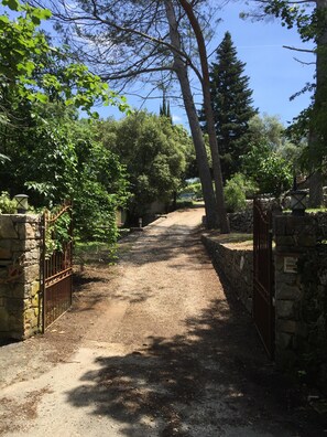 Property grounds - Beautiful guest house 60 M², 3*, in a quiet place with trees, closed property (Grasse)