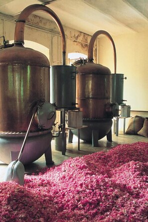 Interior - Beautiful guest house 60 M², 3*, in a quiet place with trees, closed property (Grasse)