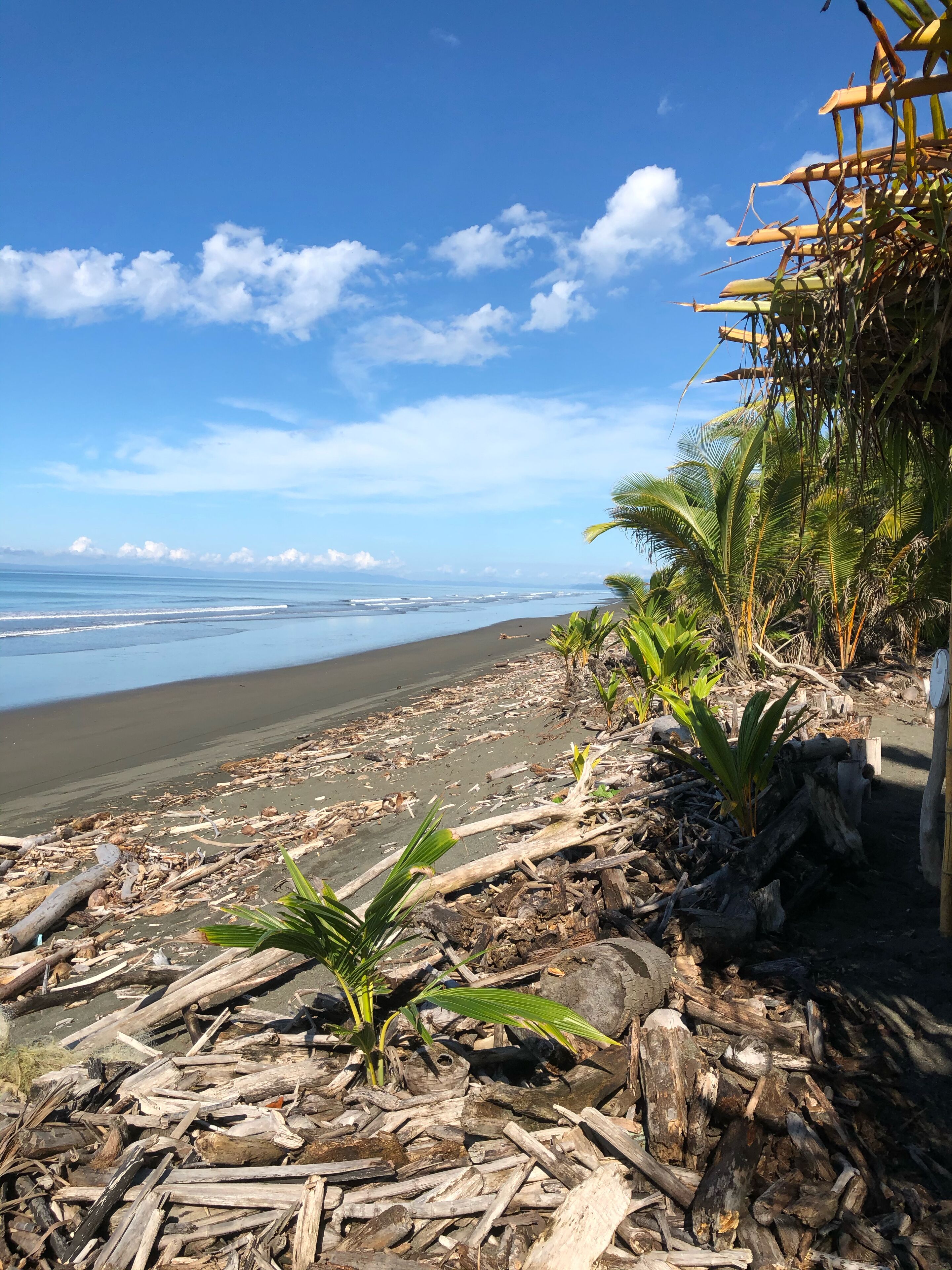 På stranden, solsenger og strandhåndklær