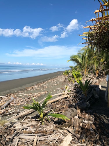 Kaunis Oceanfront Villa<br>Surfet edessä tai lähistöllä Pavonesissa tai Pilonissa, Kalastus