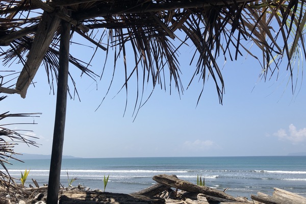 Plage, chaises longues, serviettes de plage