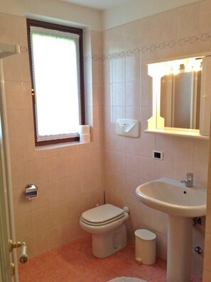 Sèche-cheveux, bidet, savon, papier toilette