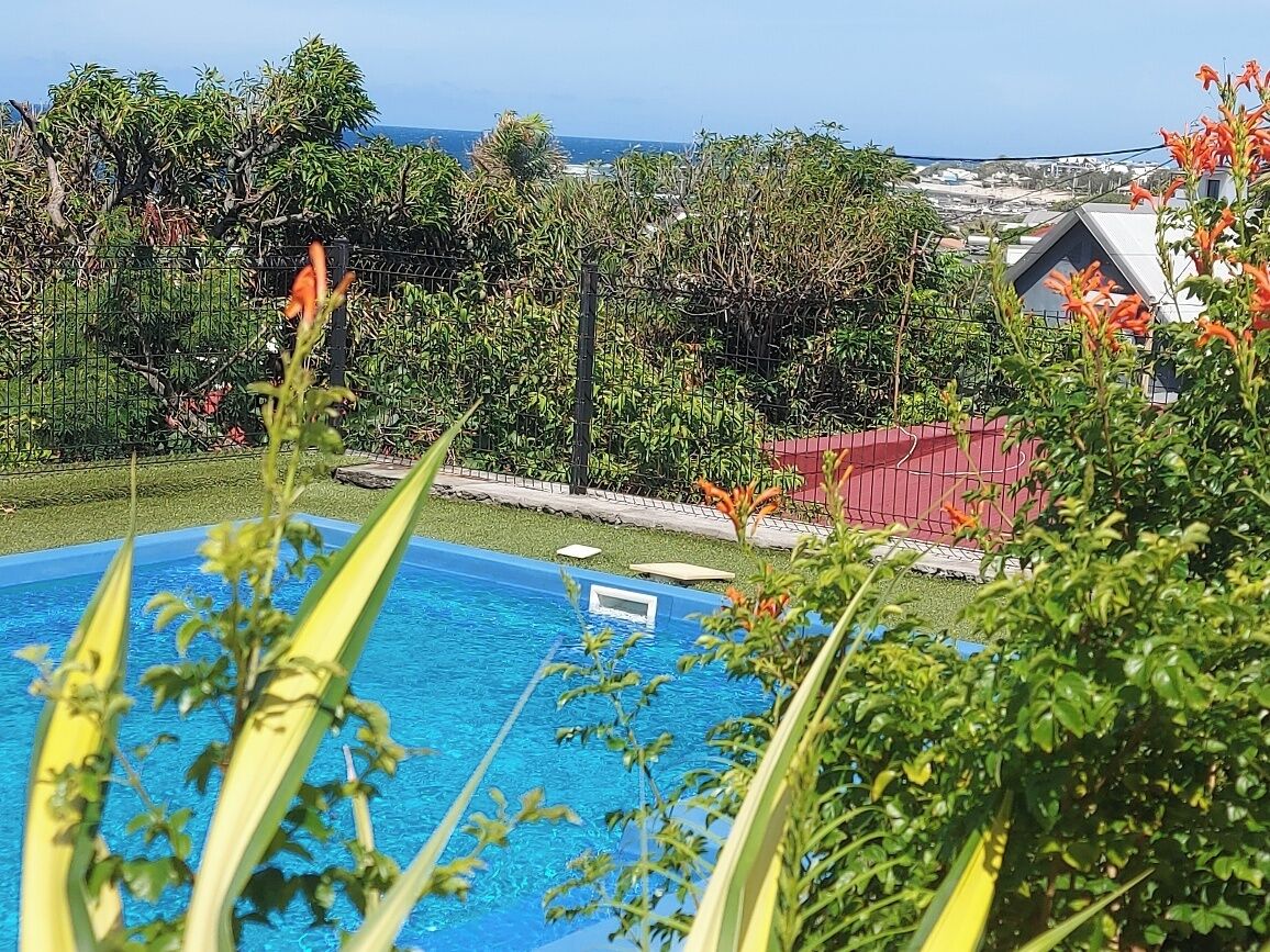 Une piscine entourée d’une végétation luxuriante, avec vue sur l’océan.