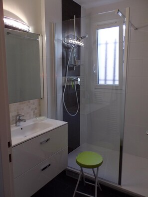 Shower, hair dryer