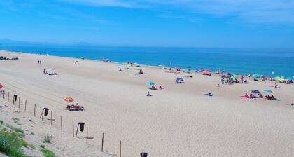 apartment/ flat - ONDRES