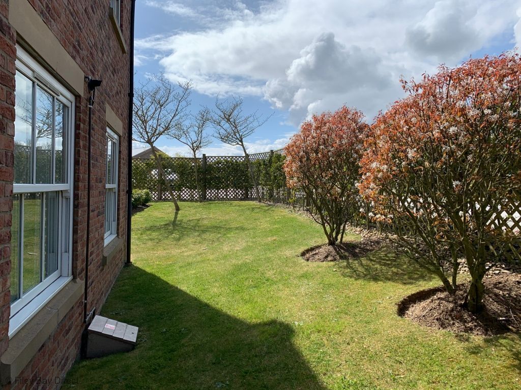 A backyard with a brick house, a lawn, and flowering trees.
