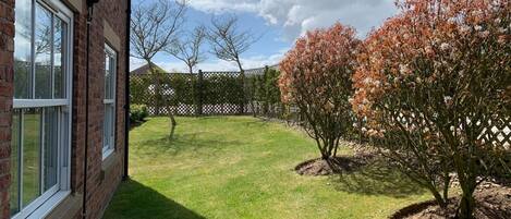 A backyard with a brick house, a lawn, and flowering trees.