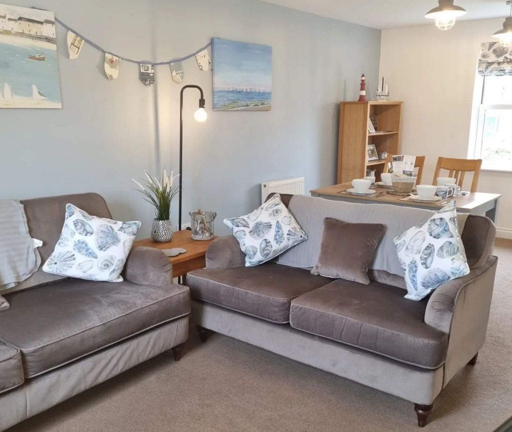 Smart TV, DVD player, livros