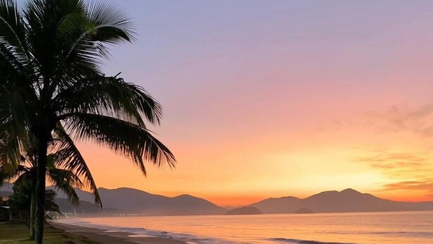A beach with a palm tree and mountains in the background during sunset.