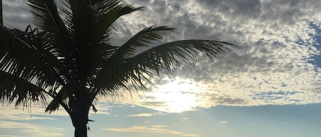 Am Strand