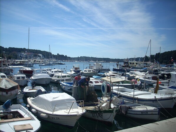 Port esportiu