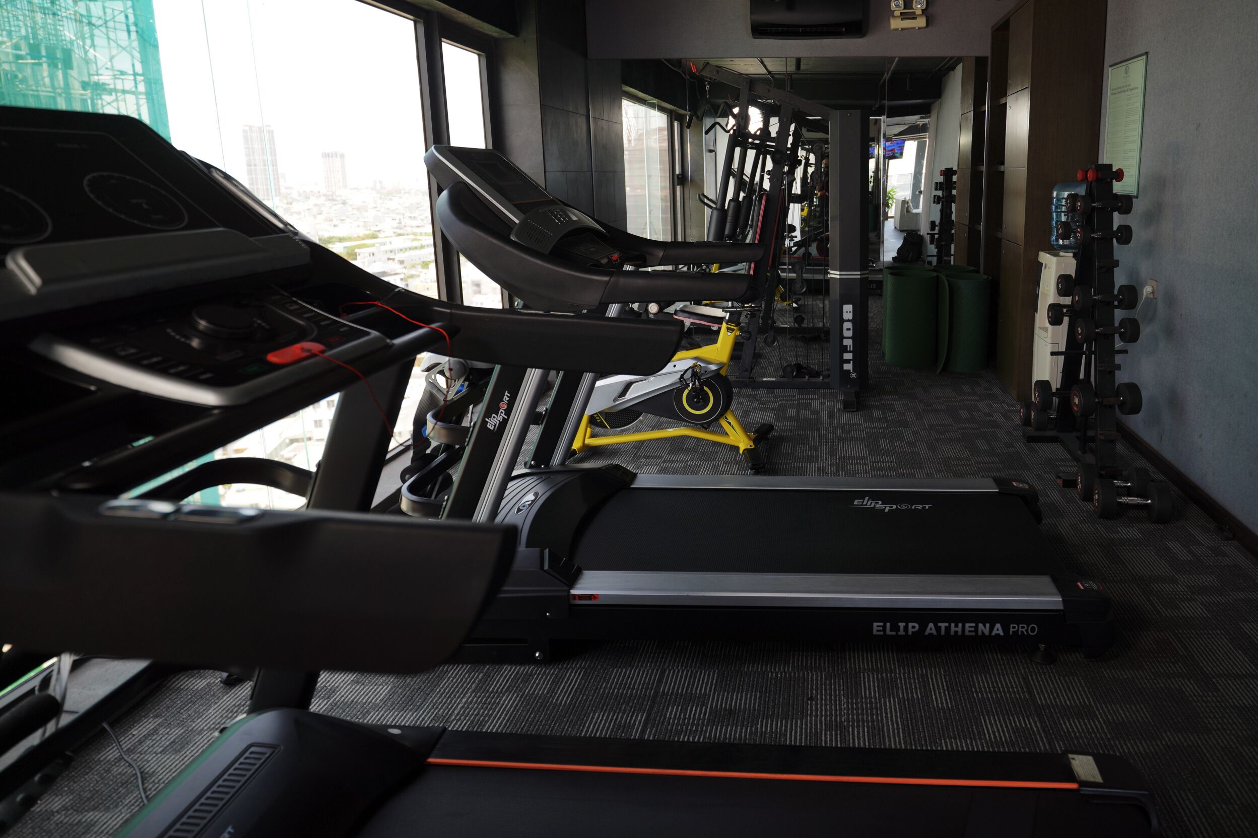 Gimnasio