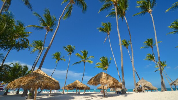 Een strand met palmbomen en rieten parasols.
