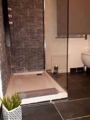 Shower, jetted bath, hair dryer, bathrobes