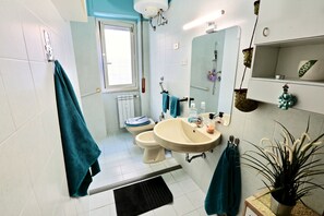 Shower, hair dryer, bidet, towels