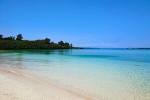 A beach with clear water, a sandy shore, and a forested area in the background. - Hoshino Terrace Alcyone II (Miyakojima)