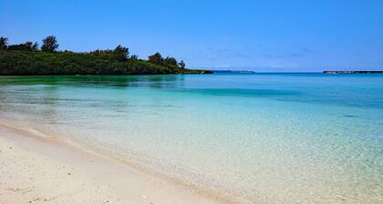 Hoshino Terrace Alcyone II