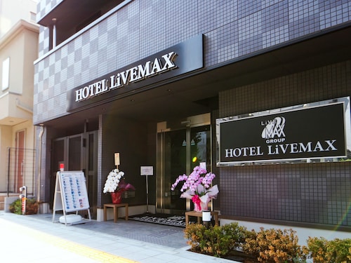 HOTEL LiVEMAX AKIHABARAKITA