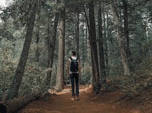 A person walking on a dirt path in a forested area with tall trees.