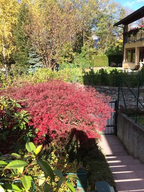 Property grounds - Casa Grazia Magreglio, Bellagio, Lake Como (Magreglio)