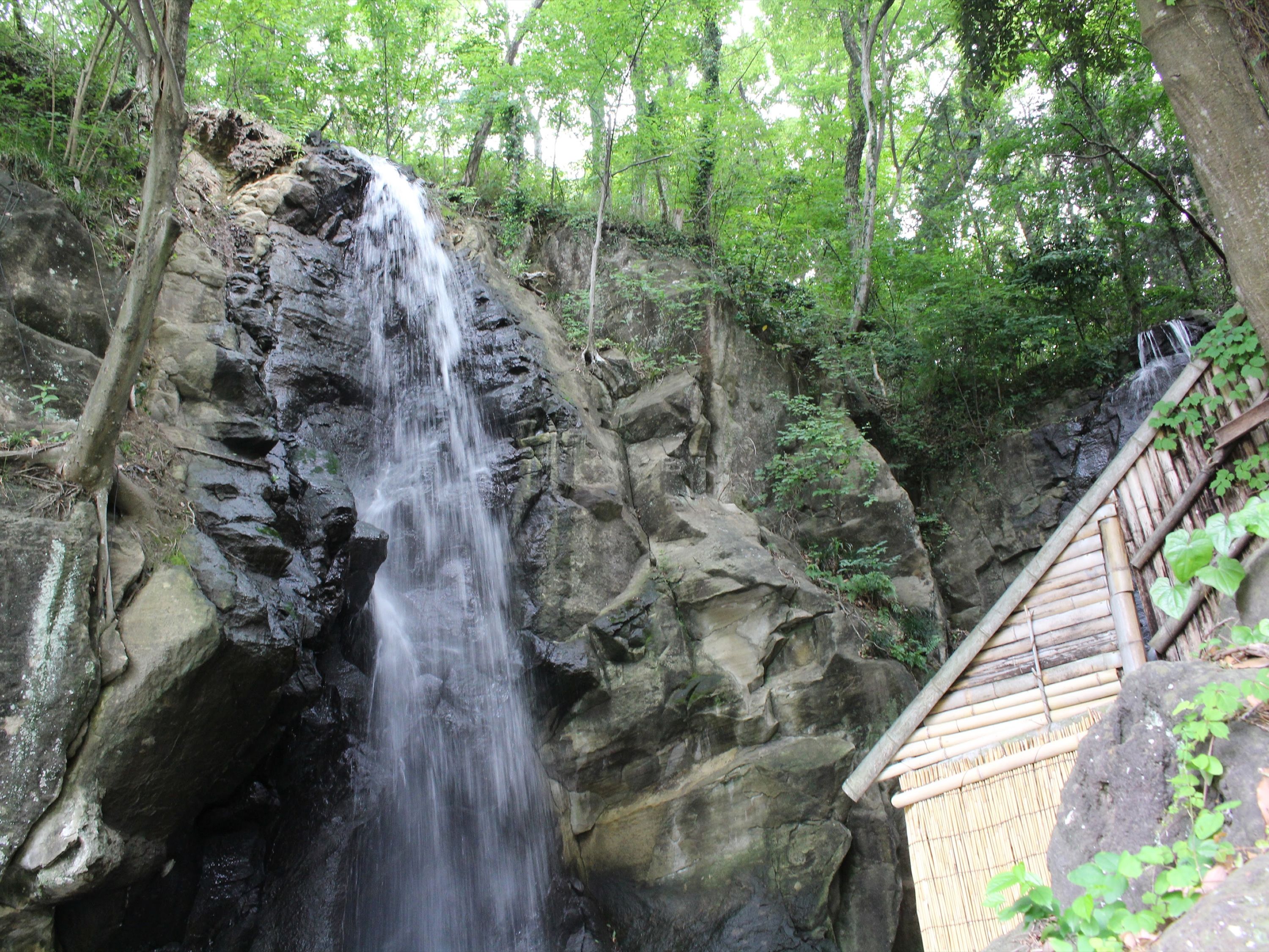 A waterfall cascading down a rocky cliff surrounded by lush greenery.