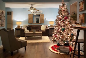 Smart TV, fireplace, DVD player, video library