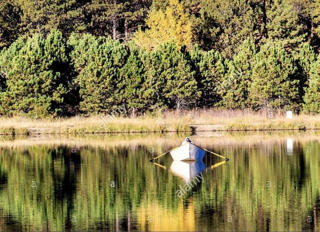 Un petit bateau sur un lac paisible, avec une forêt dense en arrière-plan.