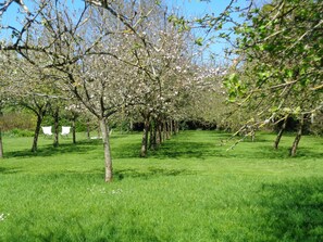 Terrein van de accommodatie