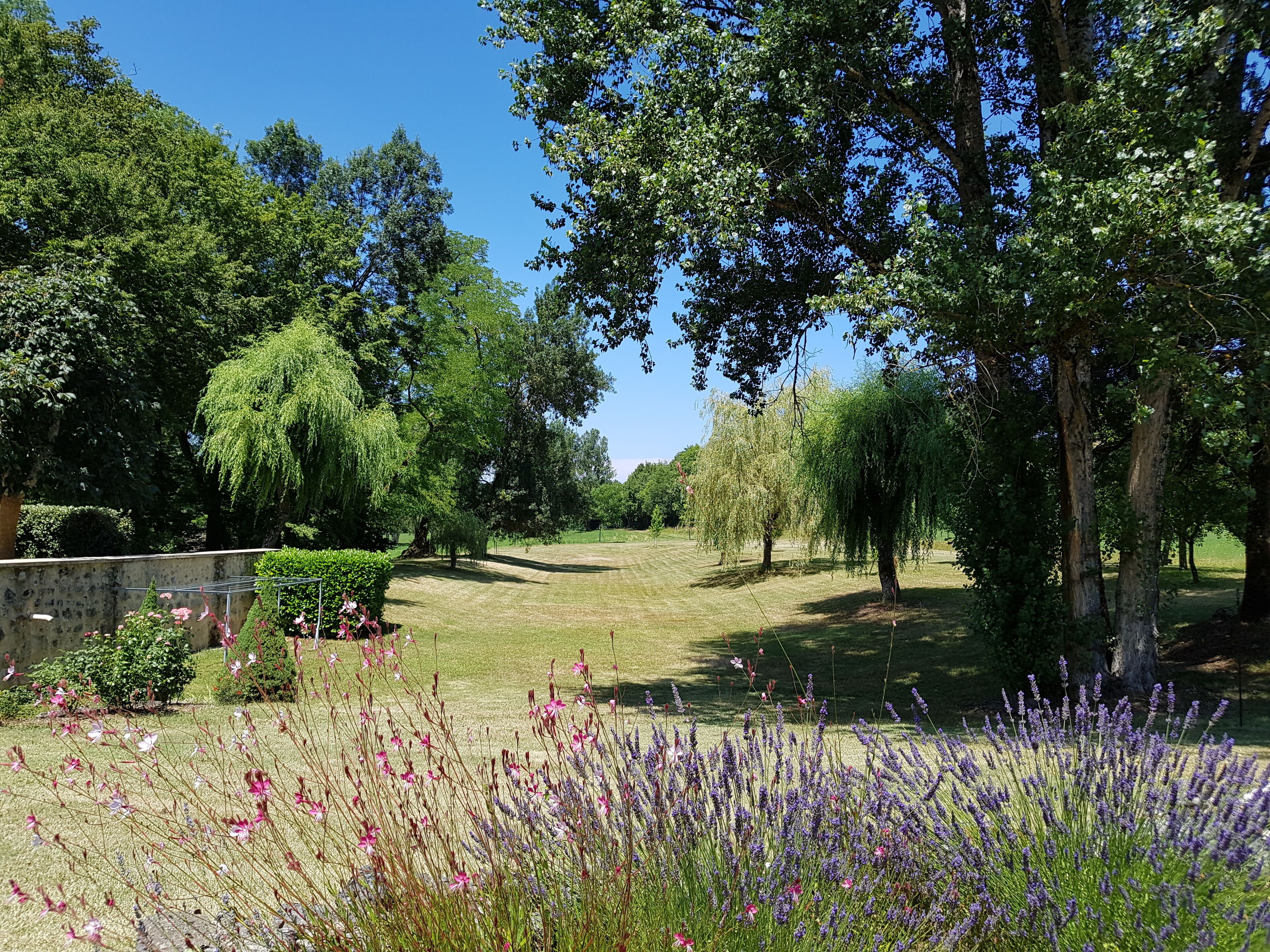 Un parco curato, con diversi alberi, una zona erbosa e piante in fiore.