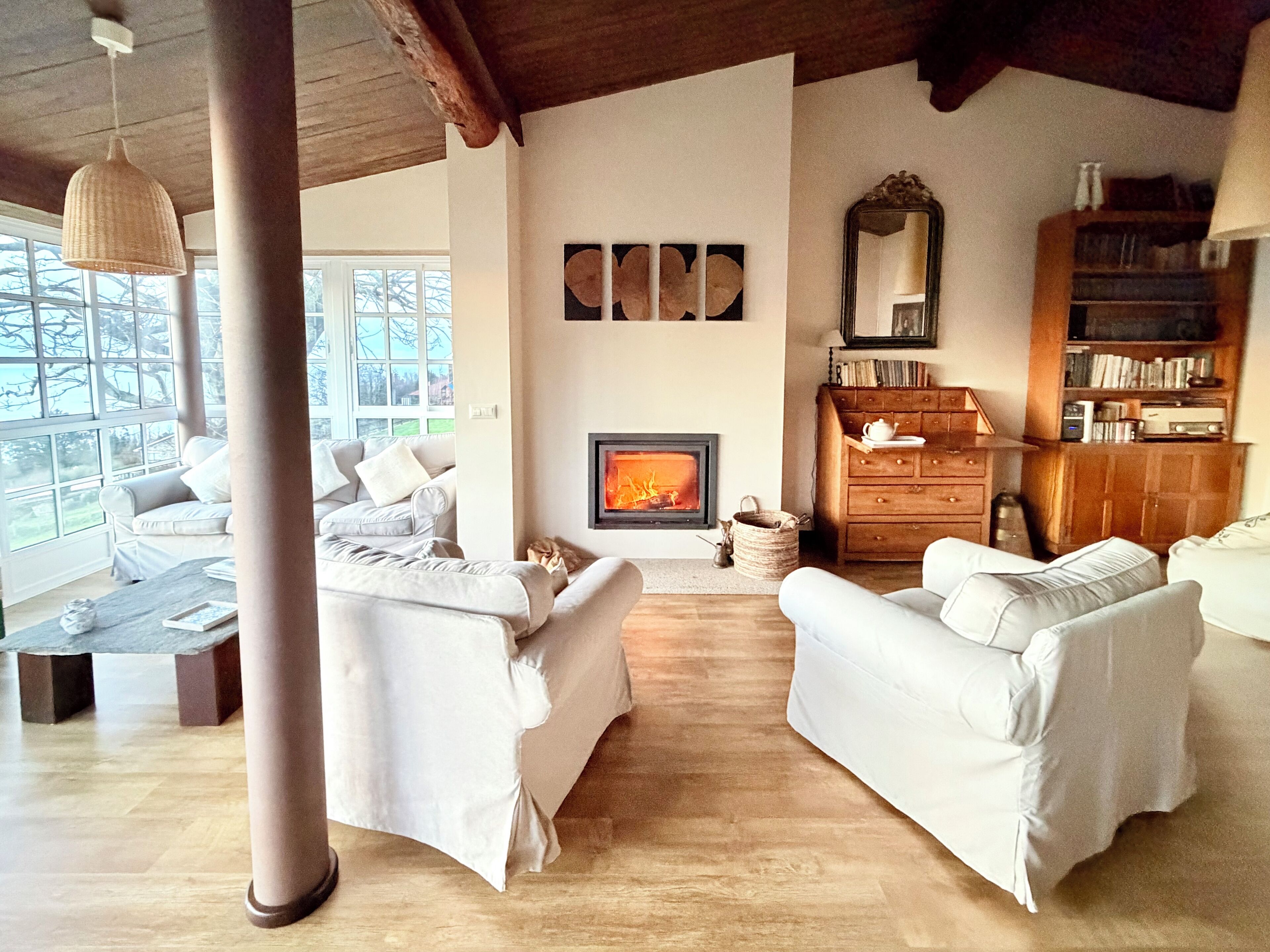 Una Smart TV, una chimenea, un reproductor de DVD, libros