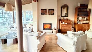 Una Smart TV, una chimenea, un reproductor de DVD, libros