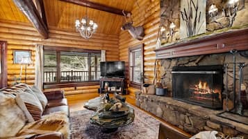 电视、壁炉、DVD 播放器、立体声音响