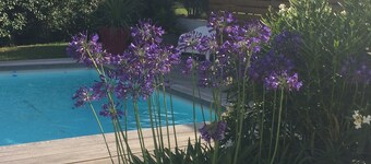 Biarritz, Quiet house for 8 ps with south facing pool 10 minutes from the beaches