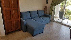 TV, DVD player, video library