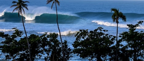 Playa en los alrededores, camastros y toallas de playa