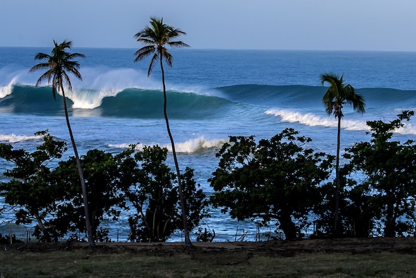 Playa en los alrededores, camastros y toallas de playa 