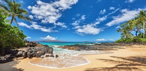 Une plage à l’eau turquoise et limpide, avec un rivage rocheux et des palmiers.